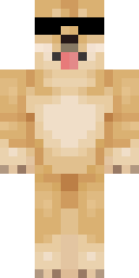 2D skin preview