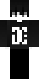 2D skin preview