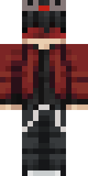 2D skin preview