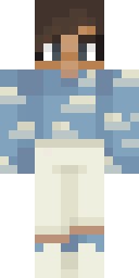 2D skin preview