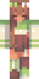 Skin preview for microcomputers