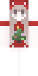2D skin preview