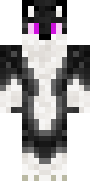 2D skin preview