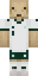 2D skin preview
