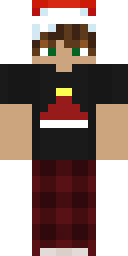 2D skin preview