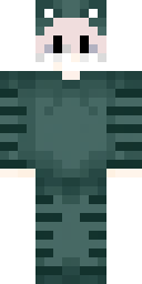 2D skin preview