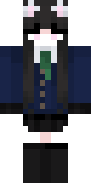 2D skin preview