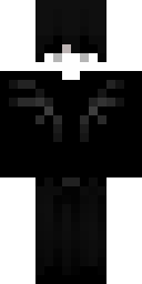 Skin preview for skid