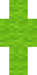 2D skin preview