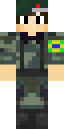 2D skin preview