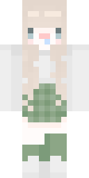 2D skin preview