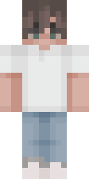 Skin preview for SnowFence