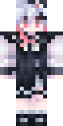 2D skin preview