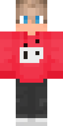 2D skin preview