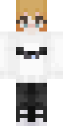 2D skin preview