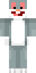 2D skin preview