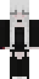 2D skin preview