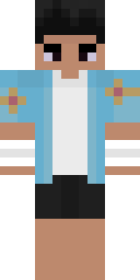 2D skin preview