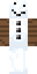2D skin preview