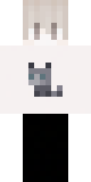 2D skin preview