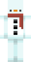 2D skin preview