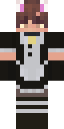 2D skin preview