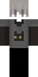 2D skin preview