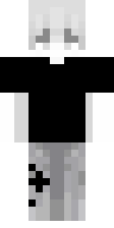 2D skin preview