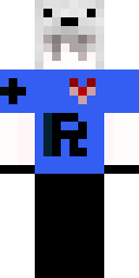2D skin preview