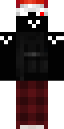 2D skin preview