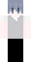 2D skin preview