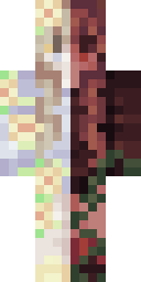 2D skin preview