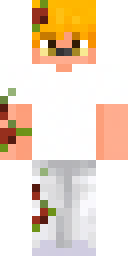 2D skin preview