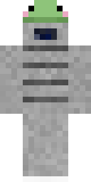 Skin preview for RobinXfighter