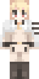 2D skin preview