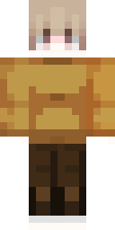 2D skin preview