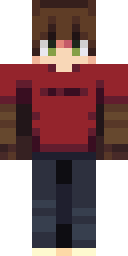 2D skin preview