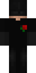2D skin preview