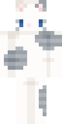 2D skin preview
