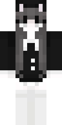 2D skin preview