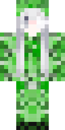 2D skin preview