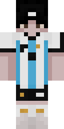 2D skin preview