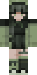 2D skin preview