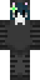 2D skin preview