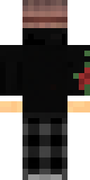 2D skin preview