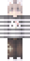 2D skin preview