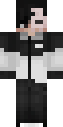 2D skin preview
