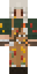 2D skin preview