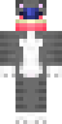 Skin preview for kvi