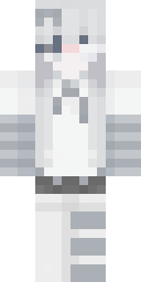 2D skin preview